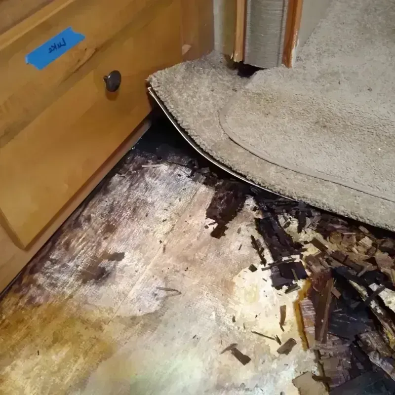 Wood Floor Water Damage in Hubbard County, MN